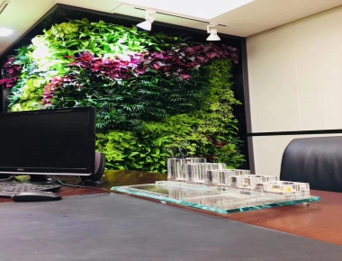 办公室智能生态绿植墙